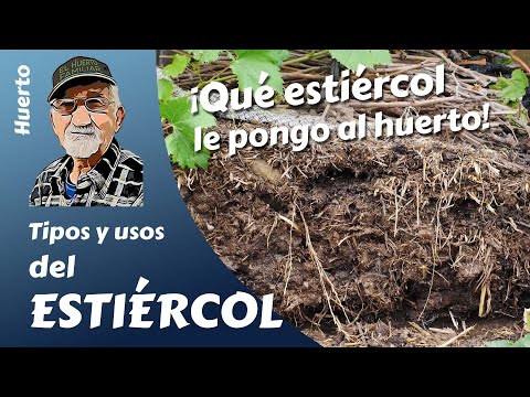 Video: Uso de estiércol de buey para hortalizas y césped