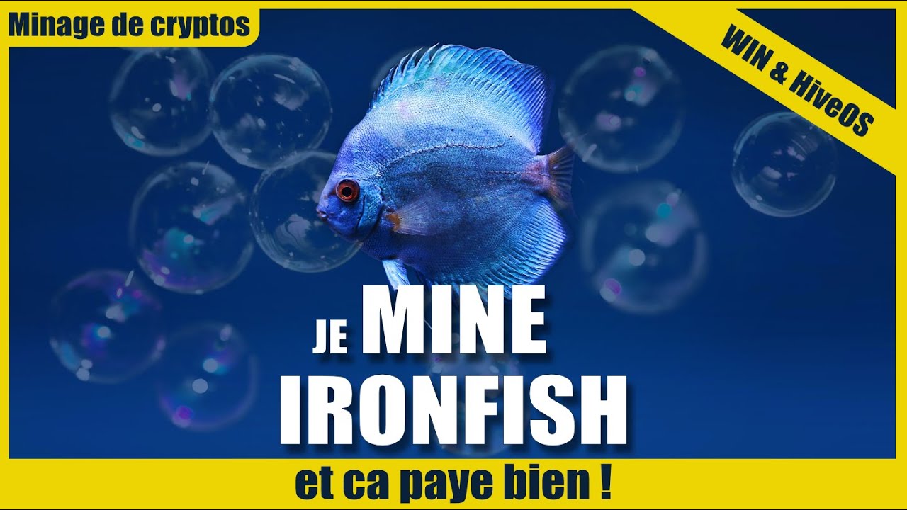 MINER IRONFISH sur Windows & HIVEOS directement vers KUCOIN. Le coin le