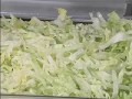 Hobart FP250 7/32&quot; Slicer Plate Slicing Lettuce