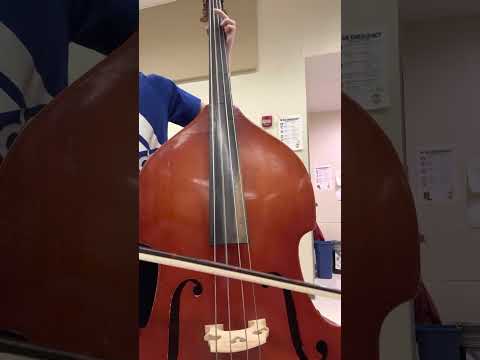 Burst bass cover