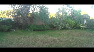 MSR : Outdoor flight will the ball bearing flybar hub 3