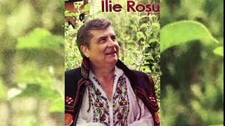 Ilie Roșu - Ce-i place șoferului