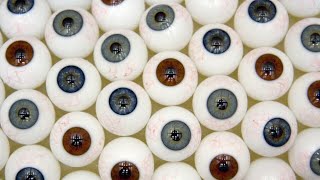 New York surgeons complete first whole eye transplant Profile