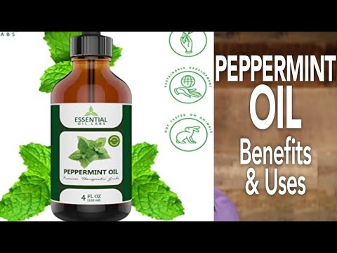 Top 15 Peppermint Oil Uses And Benefits For gut Health Headaches And More | Uses Of Peppermint Oil