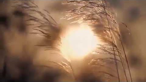 . سورة ياسين (يس) تلاوه خياليه تريح القلب والعقل ❥