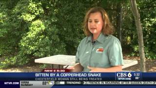 Watch Woman Says Pain Was Horrible After Copperhead Bite