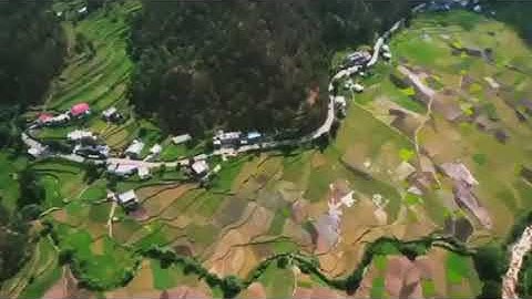 MY FIRST VLOG #myfirstvlog #my_first_vlog #my_first_vlog_on_youtube #my_first_video #my_first_video