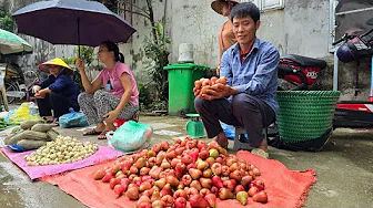 Harvesting rose apples to sell at market - Building new shelter for ducks | Solo Survival