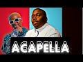 Mellow & Sleazy - Imnandi lento (ACAPELLA)