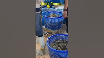 Khu D2 chợ bình điền bán sỉ tôm càng xanh mời các bạn #thànhchannel #videoshoot #chợđầumối