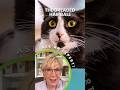 Live Cat Grass for Hairballs? 🐱 Cat Expert Explains!