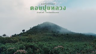 ดอยปุยหลวง - สูงสุดแห่งแม่ฮ่องสอน ในวันที่ฟ้าไม่เป็นใจ | Go With The Flow