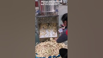High Speed Ginger Slicing Cutting Machine