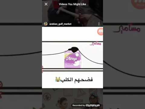 فضايح الكلاب 