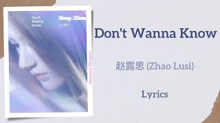 Dont Wanna Know   zhao Lusi Singles