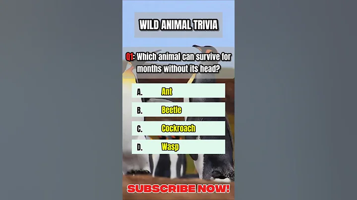 Can You Beat This Animal Quiz