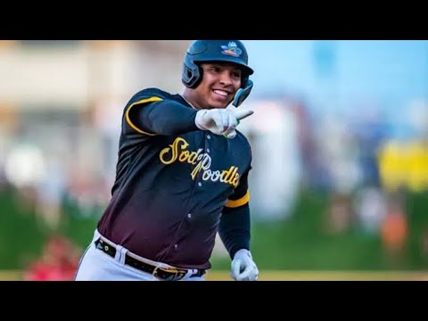 オリックス・バファローズ 121 L.セデーニョ Oサイズ オリックス・バファローズ 121 L.セデーニョ Oサイズ