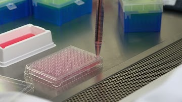 Millicell® 24 and 96 Well Plates: How to Access Various Ports