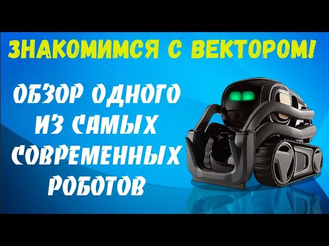 Обзор робота Anki Vector! На что способен искусственный интеллект?