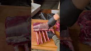 Elk Butchering