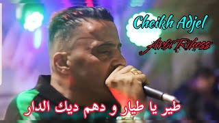 cheb Adjel 2022 أجمل أغاني الشاب العجال  by studio 27 plus  🇩🇿🇹🇳🇲🇦🔥🔥🔥🎵😱🎵😱😱