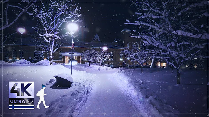 3 Hours of Purely Authentic Snow Walks in Finland - Slow TV 4K