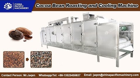 How to roast cocoa beans? Automatic cocoa roasting and cooling machine real test performance