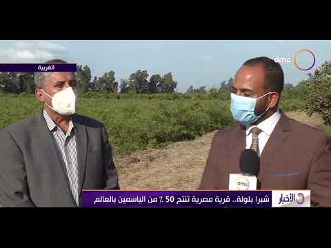 الأخبار شبرا بلولة قرية مصرية تنتج 50 من الياسمين بالعالم