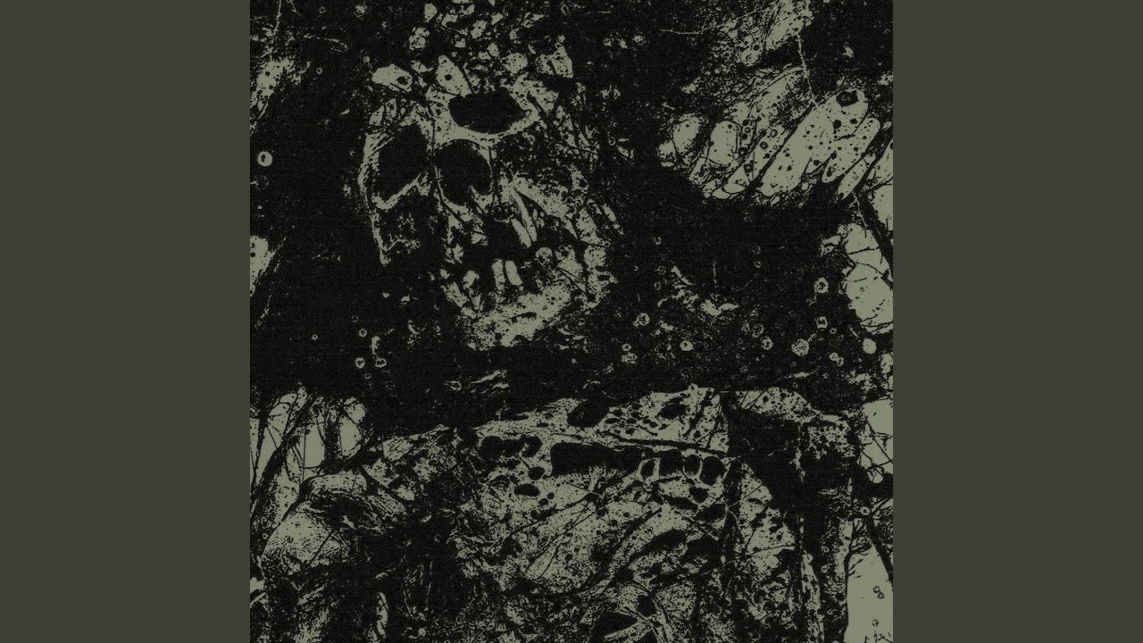 Watch Rot on YouTube