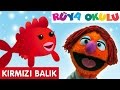 Kırmızı Balık  - Çocuk Şarkısı - Çizgi Film Şarkısı Türkçe - RÜYA OKULU