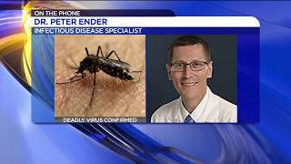 How To Protect Yourself From Eastern Equine Encephalitis