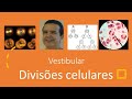 Divis&otilde;es celulares com quest&otilde;es de  Vestibulares