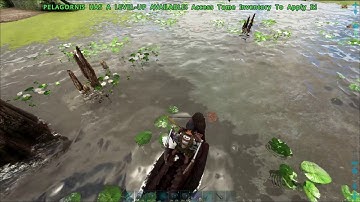 [Official PVE] Love Evolved Event, Fishing for Chibi