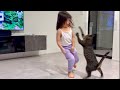 猫と人間とは思えないほど仲良く遊ぶ姉妹