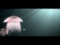 Ocean full of Jellyfish - VISUAL EFFECT EXPERIMENT
