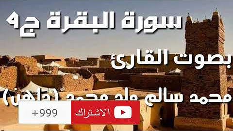 سورة البقرة ج4 بصوت القارئ محمد سالم ولد محمد (داهن)🎧🎧🎧