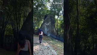 Đi Bộ Xuyên Rừng Tại Madagui Forest City