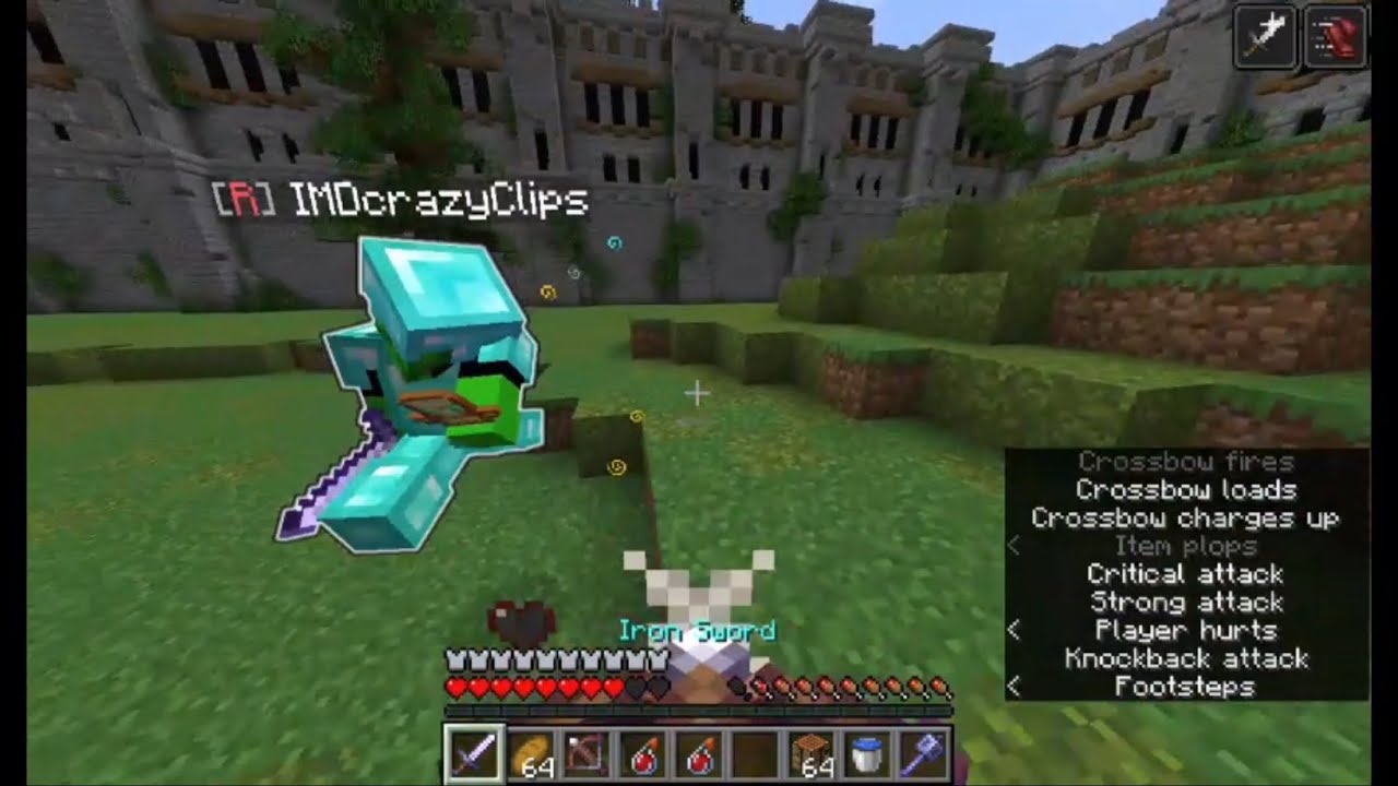 Minecraft PvPing my YouTuber friend @IMDCrazyGuy! - YouTube