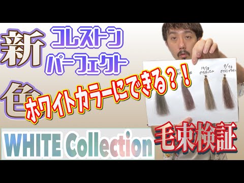 【最終値下げ】ヘアカラー剤44本　【キラテラ　スロウ　オルディーブ　】 最終値下げ】ヘアカラー剤44本【キラテラスロウオルディーブ】