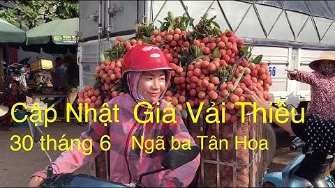 Cập Nhật giá vải Thiều Lục Ngạn tại ngã ba Tân Hoa