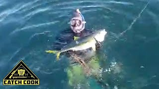 Yellowtail Kingfish Spearfishing - Catch Cook, Dassen Island