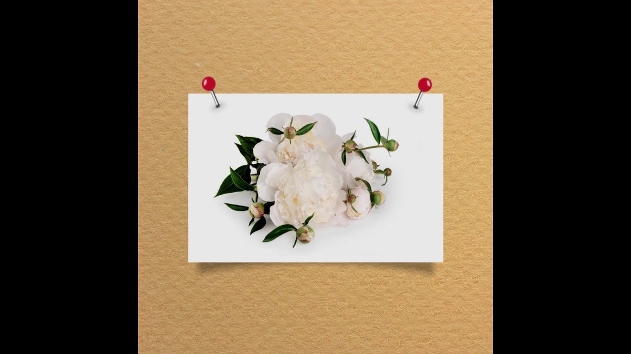 Cara membuat efek shadow melengkung Dan efek jarum tertusuk di aplikasi pixelLab