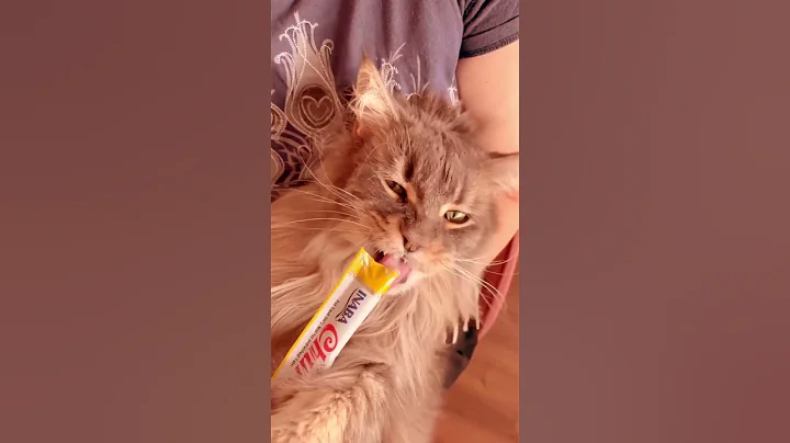 Watch the video about Dreaming of Delights