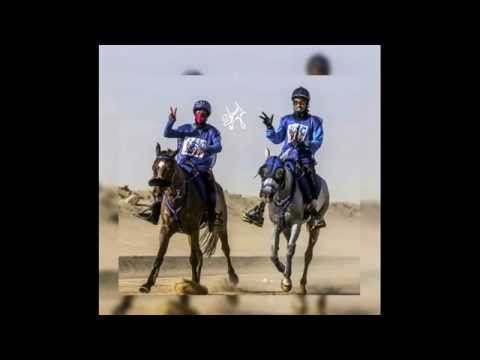 شيلة فريق اصايل الكويت للقدره والتحمل