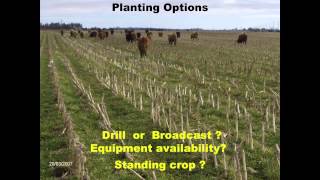 Grazing Cover Crops and Benefits for Livestock Operations - Mike Buis