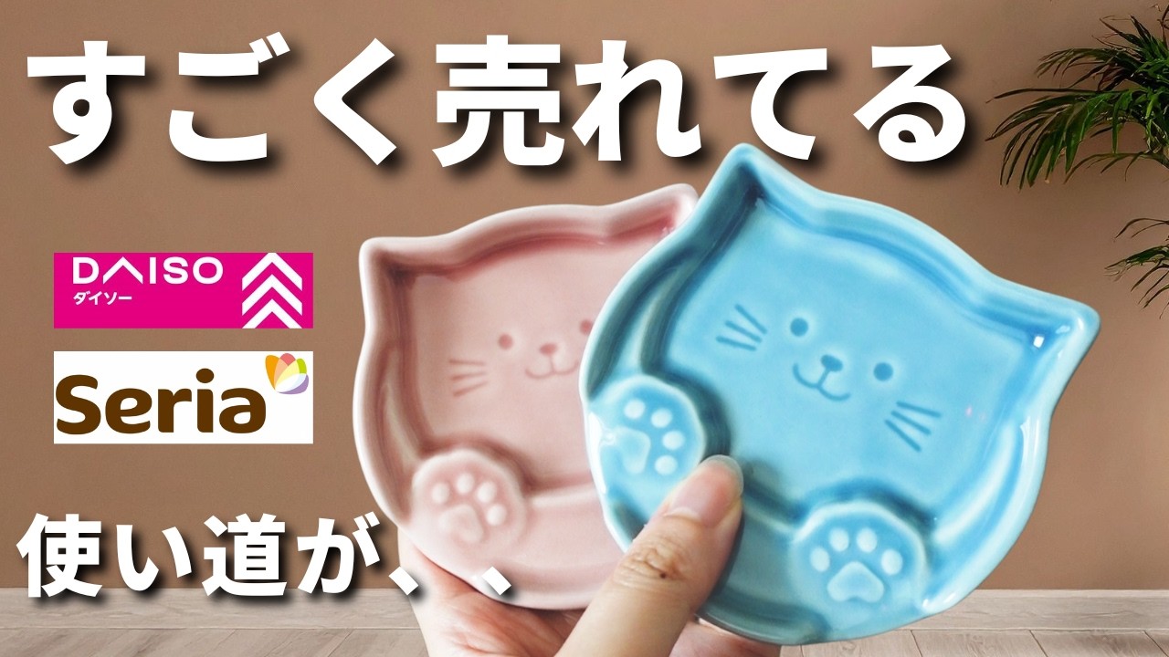 【100均】えっ!これ何?即カゴに入れた便利グッズ&人気アイテム【ダイソー/セリア】
