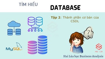 Series #Database & #SQL - Tập 2: Thành phần cơ bản của Database