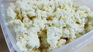 پنیر لذیذ لر ترکیه ای بدون دماسنج، تست حرارت و مایه پنیر | Turkish Cottage Cheese