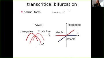 Dynamical systems tutorial part2