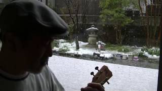 Ariel (Dean Friedman) ukulele rendition